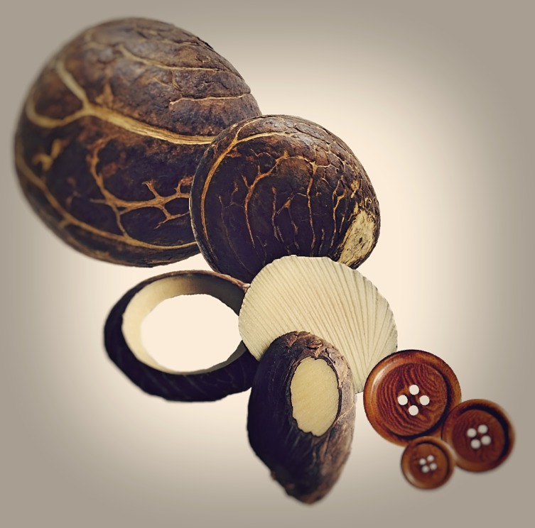 Corozo-vukoman-veleprodaja